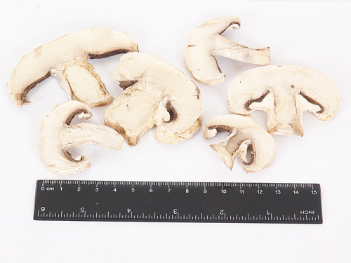 купить Грибы шампиньоны сушеные оптом.  6