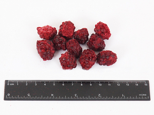 купить Сублимированные ягоды и грибы оптом