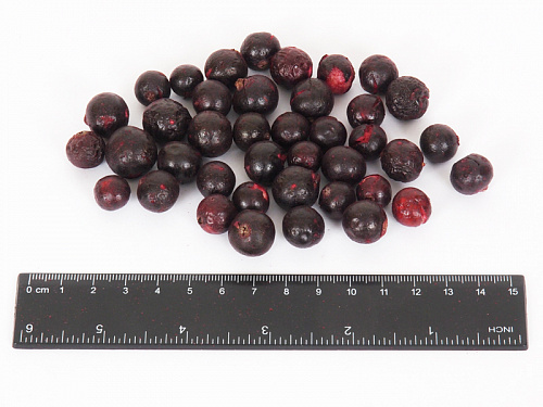 купить Сублимированные ягоды и грибы оптом.  3