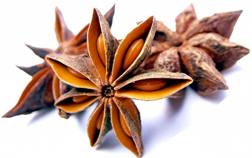 Купить барбарис плоды оптом