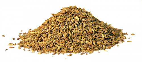 Купить фенхель семена оптом