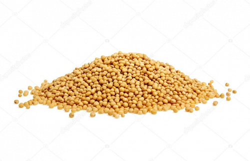 Купить горчицу семя желтое и горчичный порошок оптом